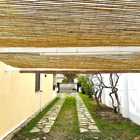 Fodera